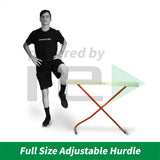 Full Size Hurdle - Adjustable